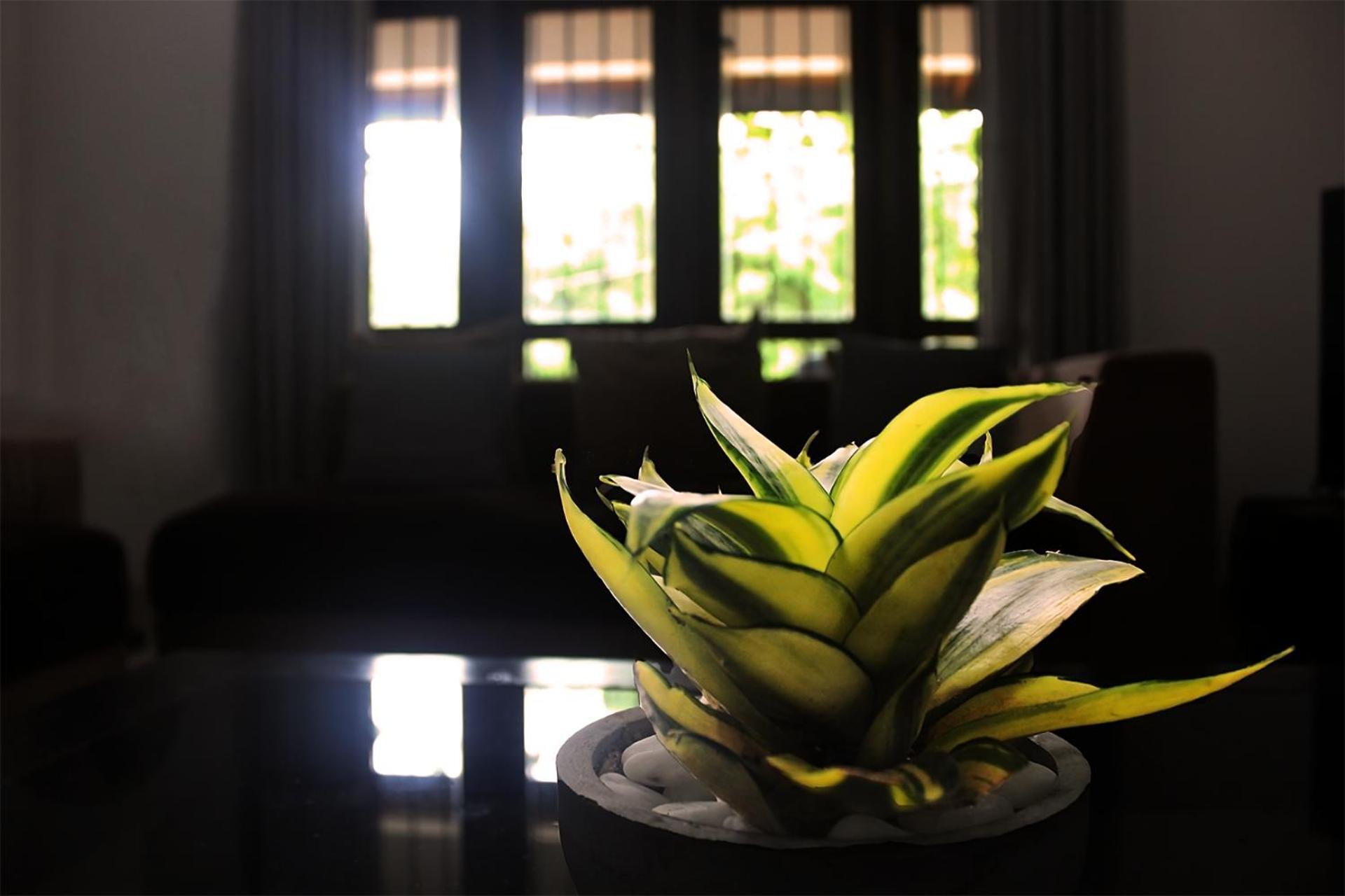 Seasons Villa Sigiriya, Sri Lanka Dambulla Esterno foto